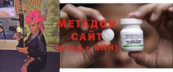 прущие грибы Медвежьегорск