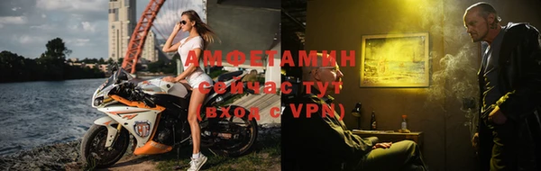 прущие грибы Михайлов