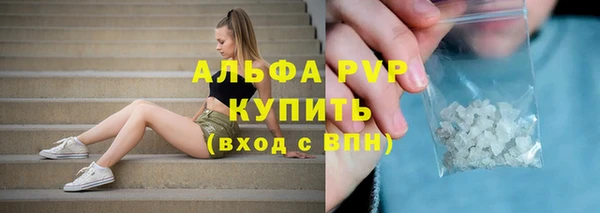 прущие грибы Михайлов