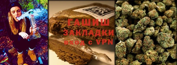 прущие грибы Михайлов