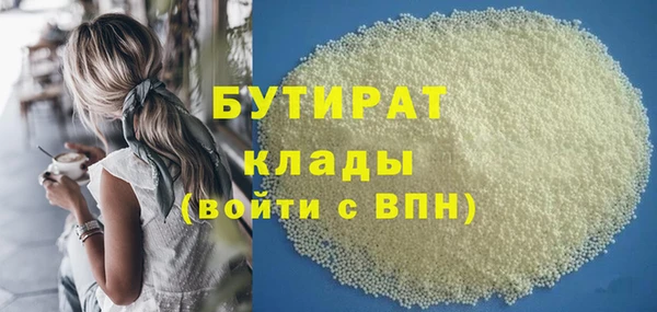 прущие грибы Михайлов