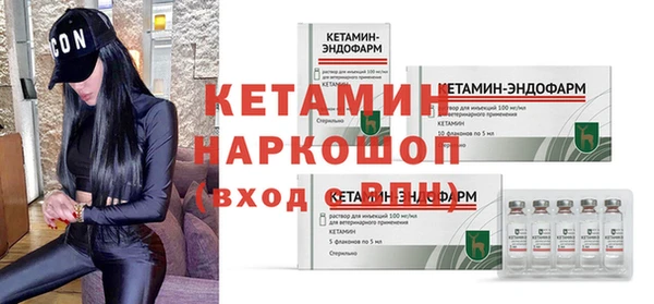 прущие грибы Михайлов