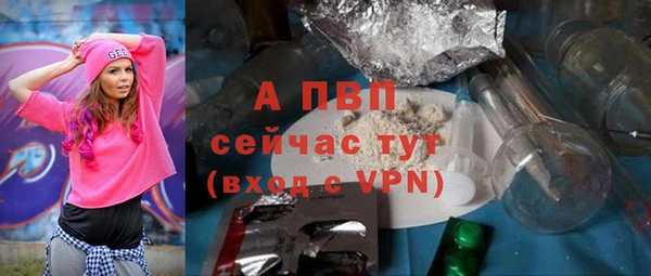 прущие грибы Михайлов