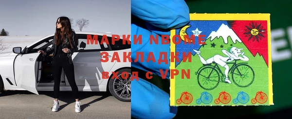 прущие грибы Михайлов