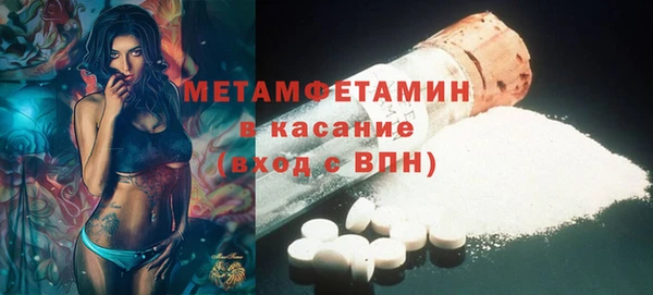 прущие грибы Михайлов